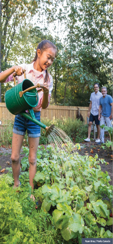 Image #2 is a photo of a young girl happily watering a vegetable garden and two men in the background that seem to be watching her as they walk by. Credit Ryan Bray - Parks Canada